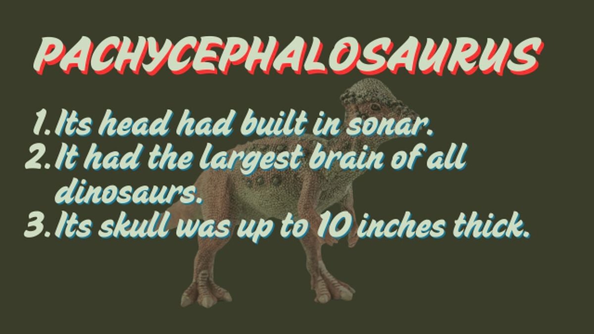 Amazing Animals: Dinosaur Edition image number null